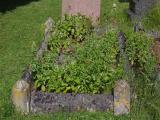image of grave number 786918